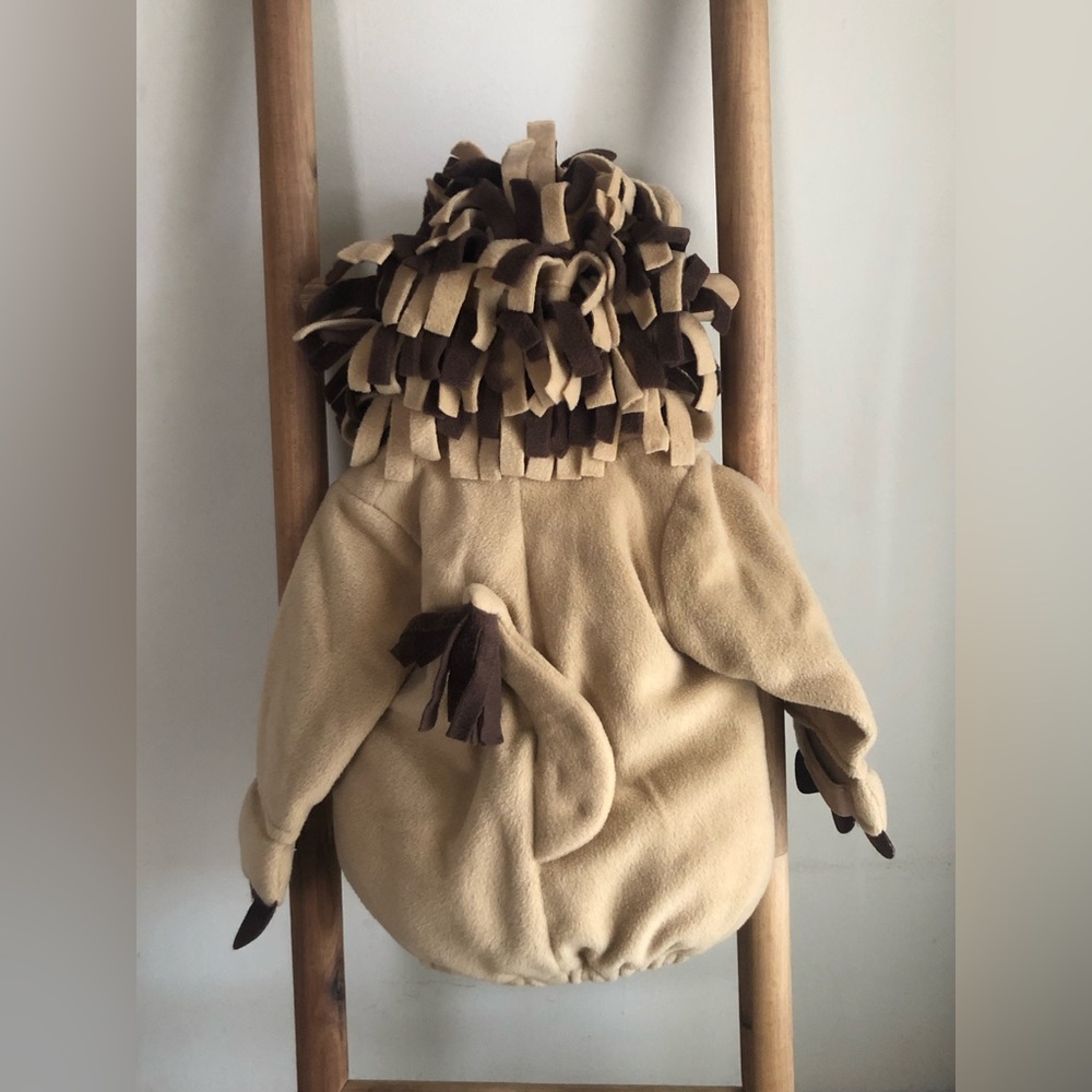 Old Navy Lion Costume 0-6 Months